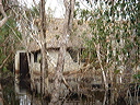 dsc00599